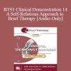 [Audio Download] BT93 Clinical Demonstration 14 - A Self-Relations Approach to Brief Therapy - Stephen Gilligan