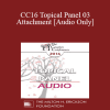 [Audio Download] CC16 Topical Panel 03 - Attachment - Rick Miller