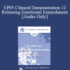 [Audio Download] EP05 Clinical Demonstration 12 - Releasing Emotional Enmeshment - Robert Dilts