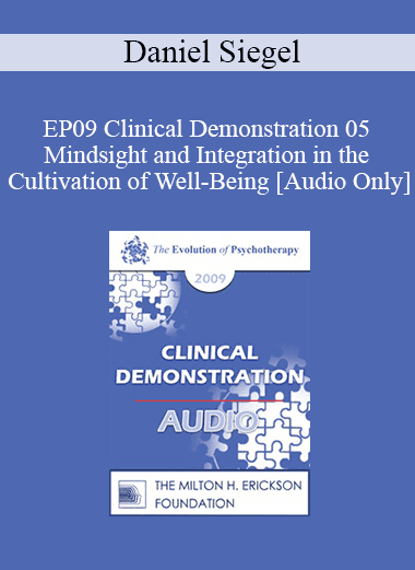 [Audio Download] EP09 Clinical Demonstration 05 - Mindsight and Integration in the Cultivation of Well-Being - Daniel Siegel