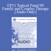 [Audio Download] EP13 Topical Panel 09 - Family and Couples Therapy - Harville Hendrix