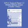 [Audio Download] EP13 Topical Panel 13 - Multicultural Issues - Robert Dilts