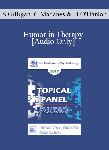 [Audio Download] EP17 Topical Panel 13 - Humor in Therapy - Stephen Gilligan