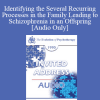 [Audio Download] EP90 Invited Address 05b - Identifying the Several Recurring Processes in the Family Leading to Schizophrenia in an Offspring - Mara Selvini Palazzoli