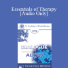 [Audio Download] EP95 Dialogue 07 - Essentials of Therapy - James F.T. Bugental