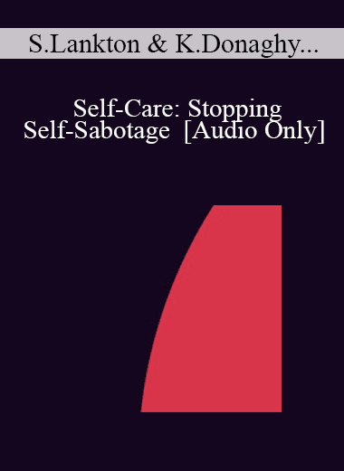 [Audio Download] IC04 Professional Resources Day Workshop 06 - Self-Care: Stopping Self-Sabotage - Stephen Lankton