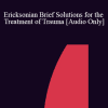 [Audio Download] IC04 Short Course 25 - Ericksonian Brief Solutions for the Treatment of Trauma: The Mind/Body Approach - Ronald Alexander