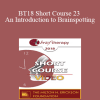 BT18 Short Course 23 - An Introduction to Brainspotting: A Revolutionary Therapy for Rapid and Effective Change - Sue Pinco