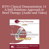 BT93 Clinical Demonstration 14 - A Self-Relations Approach to Brief Therapy - Stephen Gilligan