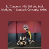 BJJ Concepts - BJJ 201 Leg Lock Modules - 1 Leg Lock Concepts 1080p