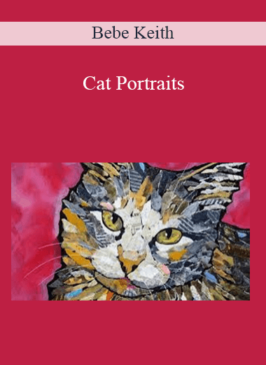 Bebe Keith - Cat Portraits