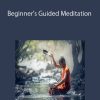 Beginner’s Guided Meditation