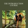 Body Flex Yoga – THE INTRODUCTION COURSE