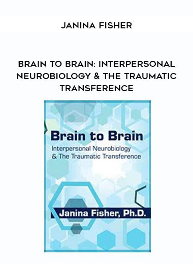 [Download Now] Brain to Brain: Interpersonal Neurobiology & The Traumatic Transference - Janina Fisher