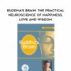 [Download Now] Buddha’s Brain: The Practical Neuroscience of Happiness