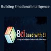 Building Emotional Intelligence