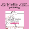 [Audio Download] CC15 Law & Ethics - WTF??? What’s the Future and Where to Fit - Steven Frankel