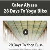 [Download Now] Caley Alyssa - 28 Days To Yoga Bliss