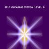 Self-Clearing System (Level 1) - Cameron Day