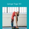 Carrie Owerko - Iyengar Yoga 101