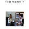 [Download Now] Core Components of DBT