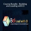 Course Bundle - Building and Leading with EI