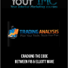 [Download Now] Cracking the Code Between Fib & Elliott Wave