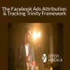 Depesh Mandalia - The Facebook Ads Attribution & Tracking Trinity Framework