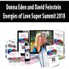 [Download Now] Donna Eden and David Feinstein - Energies of Love Super Summit 2018