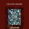 E.J. Gold - Life in the Labyrinth