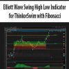 [Download Now] Elliott Wave Swing High Low Indicator for ThinkorSwim with Fibonacci