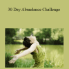 Erika Awakening - 30 Day Abundance Challenge