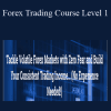 Forex Trading Course Level 1 - Pip Fisher - Adam Khoo