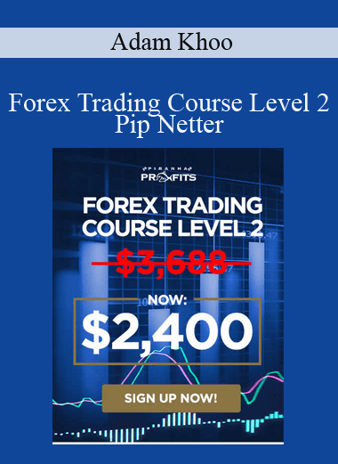 Forex Trading Course Level 2 - Pip Netter - Adam Khoo