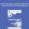 [Audio Download] EP09 Workshop 07 - Gene Expression and Brain Plasticity in the Evolution of Psychotherapy - Ernest Rossi