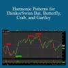 [Download Now] Harmonic Patterns for ThinkorSwim Bat