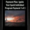 Payment Plan-Ignite Your Spark Individual Program-Payment 1 of 3