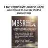 [Download Now] 2-Day Certificate Course: MBSR: Mindfulness Based Stress Reduction - Elana Rosenbaum