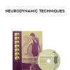 [Download Now] Neurodynamic Techniques