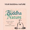 Jack Kornfield – YOUR BUDDHA NATURE