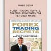 James Dicks – Forex Trading Secrets. Trading Strategies for the Forex Market