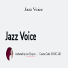 Jan Shapiro - Jazz Voice