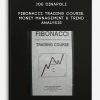 [Download Now] Joe DiNapoli - Fibonacci Trading Course - Money Management & Trend Analysis