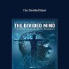 The Divided Mind - John E. Samo