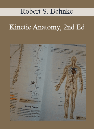 Kinetic Anatomy