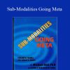 L. Michael Hall and Bob Bodenhamer – Sub-Modalities Going Meta