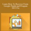 Learn How To Recover From Google Panda and Penguin – SEO Fix