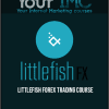 Littlefish Forex Trading Course