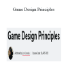 Lori Landay - Game Design Principles