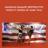 Maximum Damage Destructive Kicks ft Knees of Muay Thai - Malaipet Sitarvut